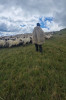 Aristică Bălan, ciobanul cu facultate