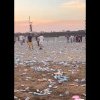 Reacții la „marile festivaluri (video)