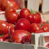 Bugetul MADR a fost suplimentat cu suma de 182.000.000 lei pentru plata sprijinului acordat pentru ciclul I de producție la tomate