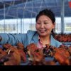 Motivația de a lansa afaceri în Xizang