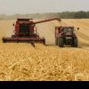 România ratează încă un an pragul de 10 milioane de tone de grâu. Cât ar putea cultiva fermierii în 2024