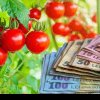 Buget mai mare pentru sprijinul acordat producătorilor de tomate