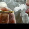 O țigară aruncată în iarbă lângă Cacaina a provocat două arestări în Tătărași