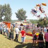Pe 6 august, la Arsura, tradiția merge mai departe: va fi spectacol și bâlci cu călușei