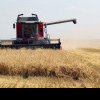 Promisiuni pentru fermierii afectați de secetă