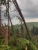 Furtuna a făcut ravagii în Maramureş. Un om a murit lovit de fulger, un alt bărbat rănit de prelata desprinsă de la o terasă/Pădure doborâtă de vânt – VIDEO