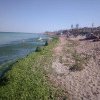 Plaja sălbatică din România pentru care turiştii au renunţat să mai meargă la Mamaia sau Costineşti. Este „perla” litoralului