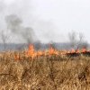 Prăpăd în Constanţa din cauza unui incendiu de vegetaţie: au ars 20 de gospodării!