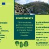 Proiect internațional implementat la USV care își propune să crească implicarea feminină în activitățile din sectorul forestier