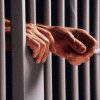 Un bărbat din Ulma face închisoare pentru că a condus cu permisul anulat și a refuzat să i se ia probe biologice