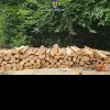 Aproape 19 metri cubi de lemn, confiscați valoric de polițiștii bihoreni
