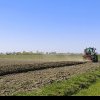 Timiș, în topul județelor preferate de investitorii din sectorul agricol