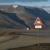 O bucată din arhipelagul Svalbard, scoasă la vânzare pentru 300 de milioane de euro, nu mai poate fi cumpărată. Norvegia a blocat tranzacția, de teama Chinei