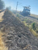 10 trenuri sunt oprite în gări între București și Constanța din cauza unui incendiu de vegetație