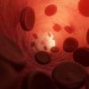 Trombocitele sintetice, o descoperire revoluționară ce ar putea salva viața pacienților cu hemoragii puternice