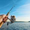 Cum să îți alegi lanseta pentru crap în funcție de stilul tău de pescuit