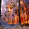 Dezastru în Mehedinți: pădurile ard de câteva zile