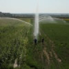 USR, atac la ministrul PSD al Agriculturii: Oamenii primesc apa cu porţia, ca pe vremea «domnului Ceauşescu»
