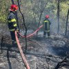 Incendiu de fond forestier produs în localitatea Iclandu Mare, comuna Iclănzel, județul Mureș