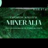 „Mineralia Summer – Verde Natur” 2024, expoziție cu vânzare