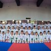 Sportivii de la Jaguar Academy Mureș, la un seminar de luptă
