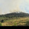 Alertă portocalie de incendiu în Parcul Natural Porțile de Fier: Sute de hectare de vegetație uscată ard de 6 zile! Mai multe case sunt amenințate