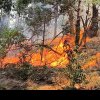 Alertă portocalie de incendiu în Parcul Natural Porțile de Fier: Sute de hectare de vegetație uscată ard de 6 zile! Mai multe case sunt amenințate - FOTO/VIDEO