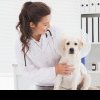 Amenzi usturătoare pentru proprietarii de câini nesterilizați: la ce sume se poate ajunge