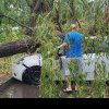 Centrul Ploieștiului, măturat de o furtună puternică. Mai mulți copaci au fost puși la pământ FOTO+VIDEO