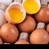 Cum recunoști ouăle de calitate în magazin. Ce înseamnă codurile inscripționate pe ele și ce teste trebuie să faci