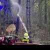 Incendiu de PROPORȚII la Dino Park Râșnov. Pompierii au reușit să evite la limită o tragedie de proporții VIDEO