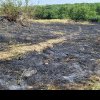 Incendiu uriaș, la Vaslui! Au ars 12 hectare de grâu şi 20 de hectare de vegetaţie uscată şi literă