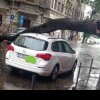 Prapad în mai multe zone din București după furtuna cu piatră! Copaci căzuți peste mașini, trafic BLOCAT