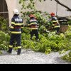 Zeci de copaci căzuți în București în urma vijeliei. ISU lucrează la foc continuu pentru îndepărtarea acestora