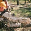 Cum a ajuns în România placaj din lemn rusesc, deși importurile sunt interzise. Furnizorul este anchetat de Comisia Europeană