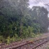 Efectele furtunii din județul Mureș: Copaci căzuți pe calea ferată și pe șosea, traficul blocat