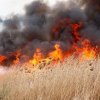 Incendiu de vegetație uscată lângă un cămin de bătrâni din județul Constanța. A fost activat Planul Roșu de Intervenție