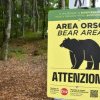O ursoaică „periculoasă” a fost ucisă în nordul Italiei, stârnind furia ecologiștilor și nemulțumirea ministrului mediului
