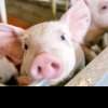 APIA primește deconturi pentru „Bunăstarea animalelor”