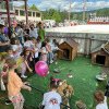 Târg de adopții câini în Ștrandul Tineretului din Piatra-Neamț