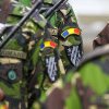 MApN respinge zvonurile privind reintroducerea stagiului militar obligatoriu