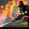 Peste 50 de incendii de vegetaţie în 24 de ore, în Grecia
