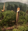 VIDEO Furtuna a făcut prăpăd în Maramureș: Un bărbat a murit după ce a fost lovit de trăsnet, un altul rănit de o prelată desprinsă de vânt, iar o pădure a fost pusă la pământ