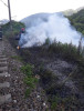 VIDEO Trafic feroviar, oprit temporar între Predeal și Brașov din cauza unui incendiu de vegetaţie la Dârste
