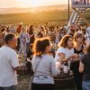 Cu picioarele goale la Tohani: Vara 2024, dedicată viei, vinului și tradițiilor românești
