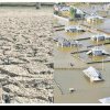 Caniculă, inundații, secetă, blackout energetic! Cum poate România diminua efectele tot mai crescute ale acestor fenomene?