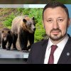 Ministrul Mediului anunță măsuri drastice împotriva urșilor după moartea tragică a unei tinere în Munții Bucegi