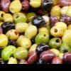 Un compus natural din măsline combate obezitatea și diabetul