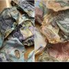 Un român și-a ascuns banii în sobă, iar aceștia s-au topit. Ce decizie a luat BNR când acesta a cerut ajutorul