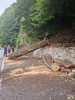 Copac de mari dimensiuni, căzut pe DN 66 în vestul ţării. Pompierii au intervenit de urgenţă
